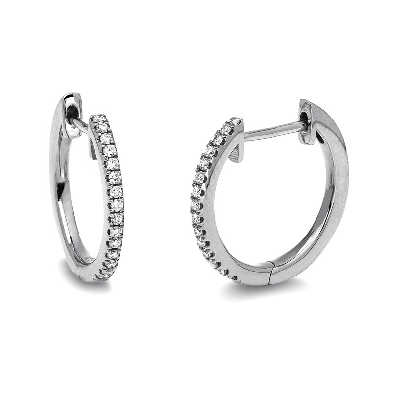 Creolen 18 kt WG