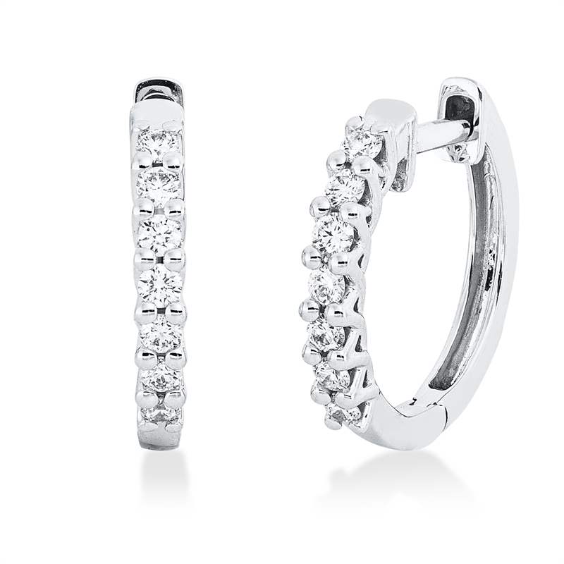 Creolen 18 kt WG